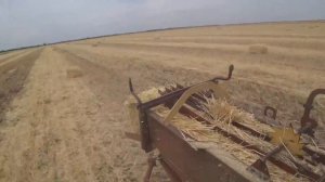 Сколько тюков соломы получится с 10га? В засушливый год!