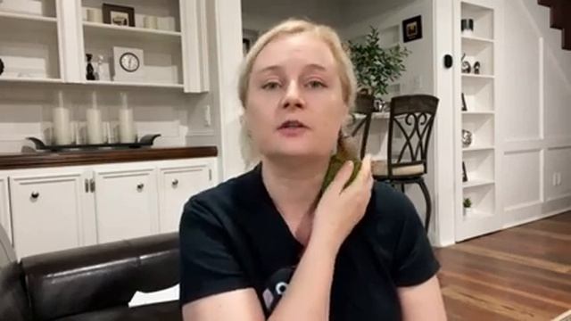 ЧТО ДЕЛАТЬ ЕСЛИ ПОПУГАЙ ВИСИТ НА ПРУТЬЯХ КЛЕТКИ