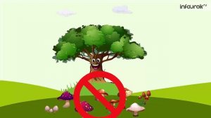 В царстве живой природы