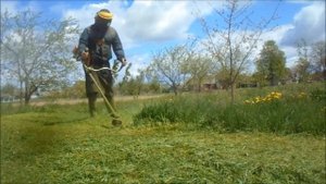 Stihl fs 130 покос густой травы.