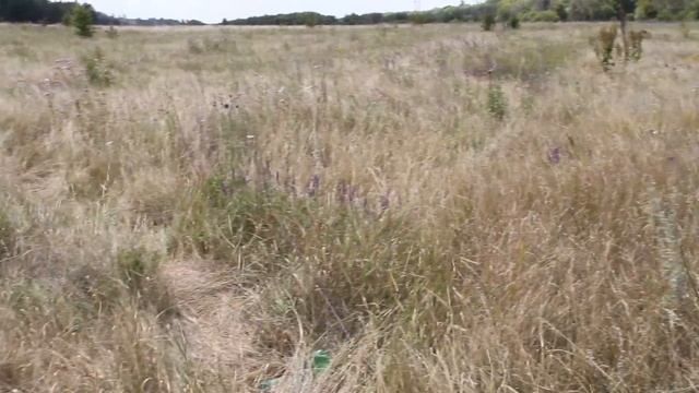 Заповедник Галичья Гора смотреть онлайн