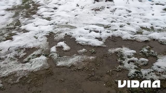 Цены на покупки из магазина " кормилец " смотреть онлайн