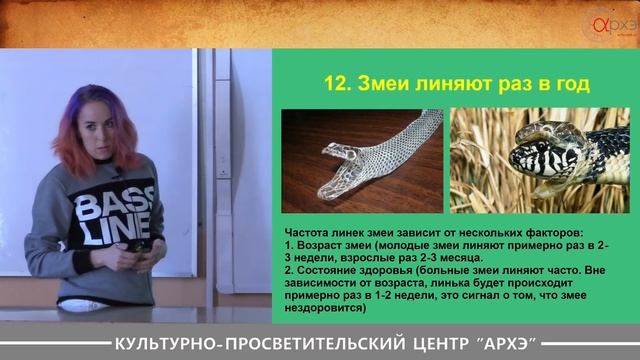 Дарья Змеева: "Змеи. Основные заблуждения" смотреть онлайн