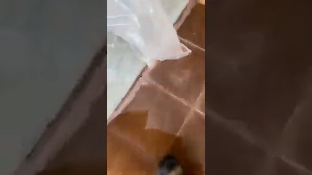 Как удалить излишки затирки. Простой способ. #затирка #строительство #ремонт #ceresit #удалить смотреть онлайн