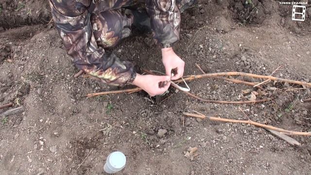 НАДЁЖНОЕ УКРЫТИЕ ВИНОГРАДА В ТЕПЛИЦЕ. ПОДГОТОВКА К ЗИМЕ ЧАСТЬ 6. ВЫРАЩИВАНИЕ ВИНОГРАДА В ТЕПЛИЦЕ смотреть онлайн