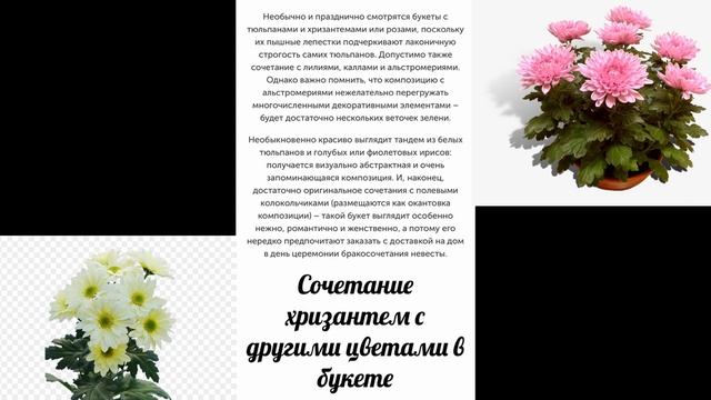 Совместимость растений.