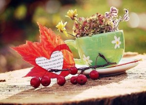 Доброго и приятного утра тебе, с хорошим настроением