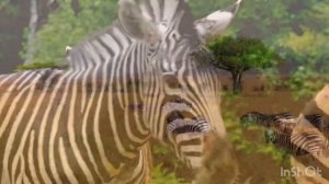Zebra звуки зебры ? #sleep #animals