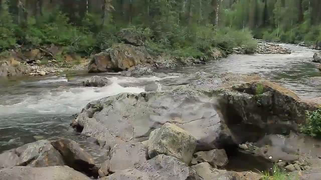 01 Урок 7 Как выглядит плод греха смотреть онлайн