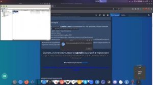 Как запустить STALKER ANOMALY на Linux.mp4