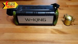 W-KING d8 (50W) Review