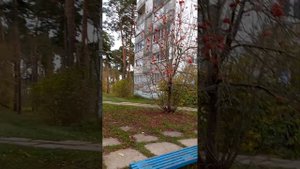 Борисов. Лядище