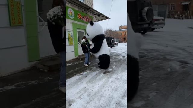 Большой мишка поздравляет с днем рождения #белыймишка #поздравление #аэромедведь #мишка