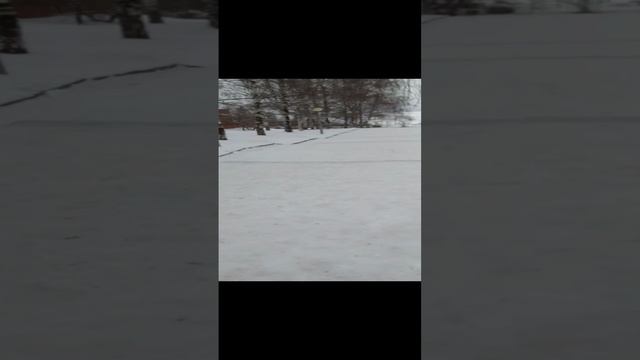 поездка в ижевск