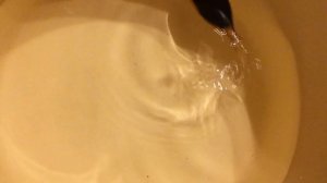 IMG 0074