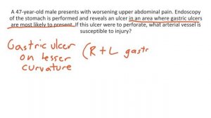 Gastrointestinal Arteries for the USMLE Step 1