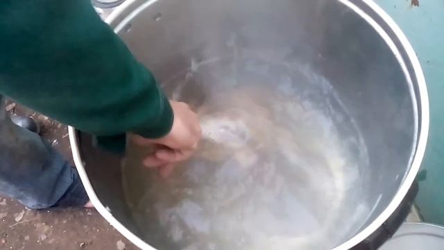Перосъемная машина и запариватель своими руками.