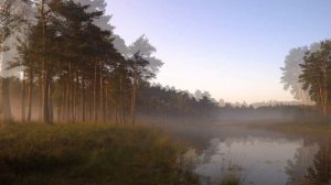 "Ой, река - река" Елена Василек и группа "Белый день"