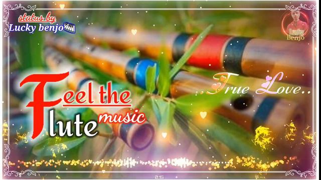 Flute music status vedio || cg song bharthari flute cover ringtone status vedio....Lucky benjo.🎹👌 смотреть онлайн