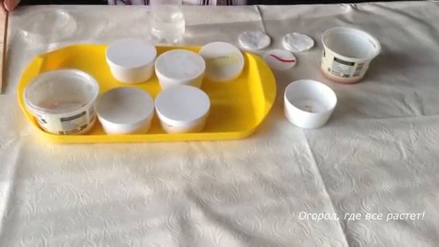 Рассада перцев пошагово.mp4 смотреть онлайн