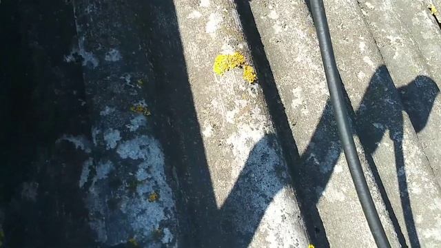 Как очистить шиферную крышу? смотреть онлайн