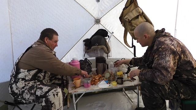 Окунь на уловестую мормышку