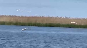 Видео ролик от гостей базы отдыха «7 жилка»
