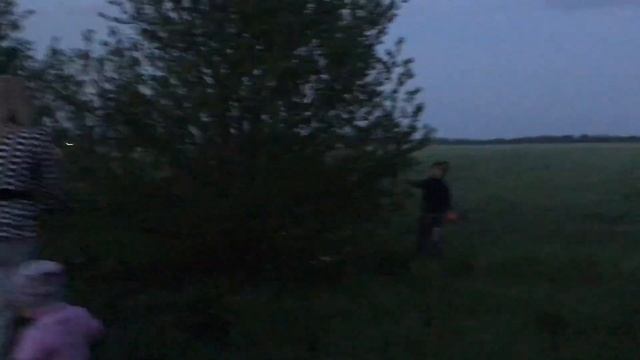 ловим майских жуков на даче