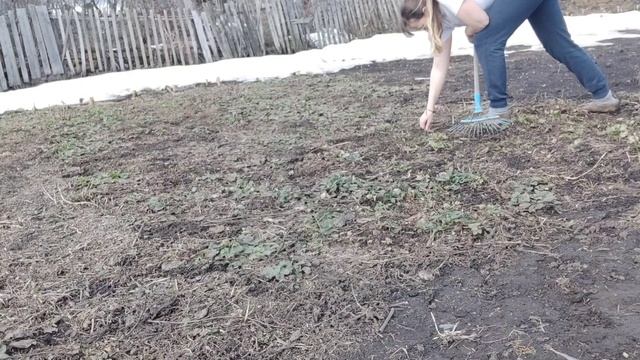 Пасха в деревне, огородный сезон открыт, пирог из детства, соленое тесто для лепки,закупка продукто