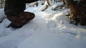 ставим петли на зайца