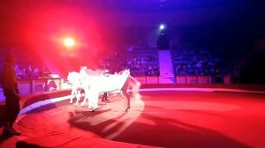 "СВОБОДА ЛОШАДЕЙ" Московский цирк Никулина на Цветном Бульваре