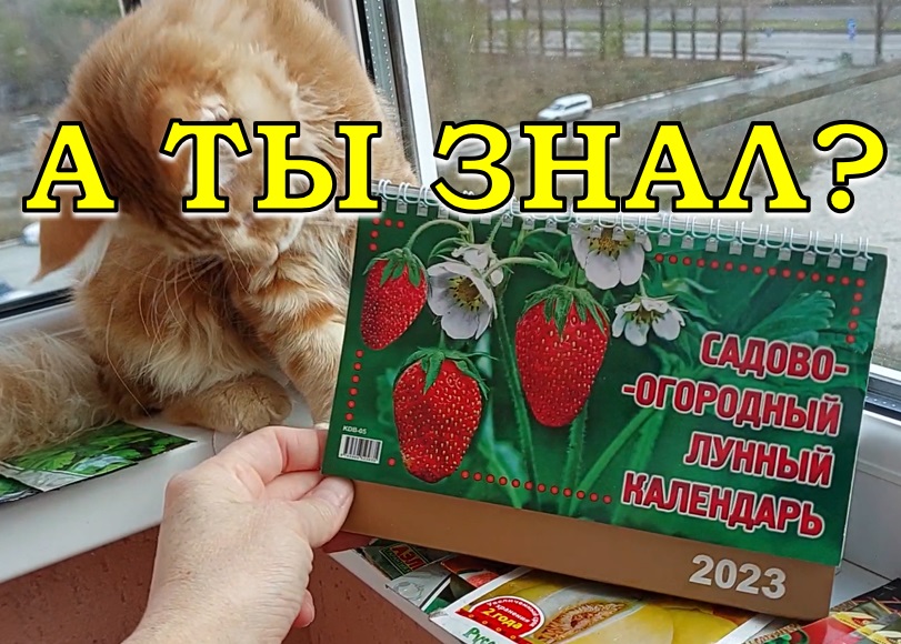 ЛУННЫЙ посевной КАЛЕНДАРЬ на 2023год ???(в помощь огородникам)