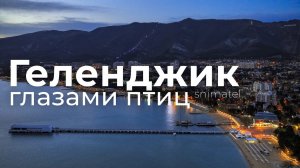 Геленджик глазами птиц. Видео фон _ видео заставка _ фоновое видео