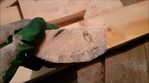 Отличие кедра от елки