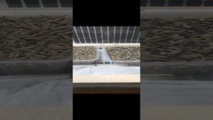 черная львинка