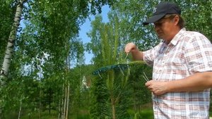 НИВАКИ. ЗОНТИК ВМЕСТО МАКУШКИ. ЧАСТЬ #1.