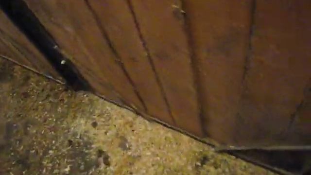 Кот застрял головой в банке из под корма смотреть онлайн