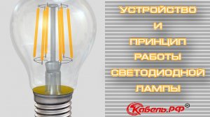 Устройство светодиодной лампы. Как работает лампа? Схема светодиодной лампы.