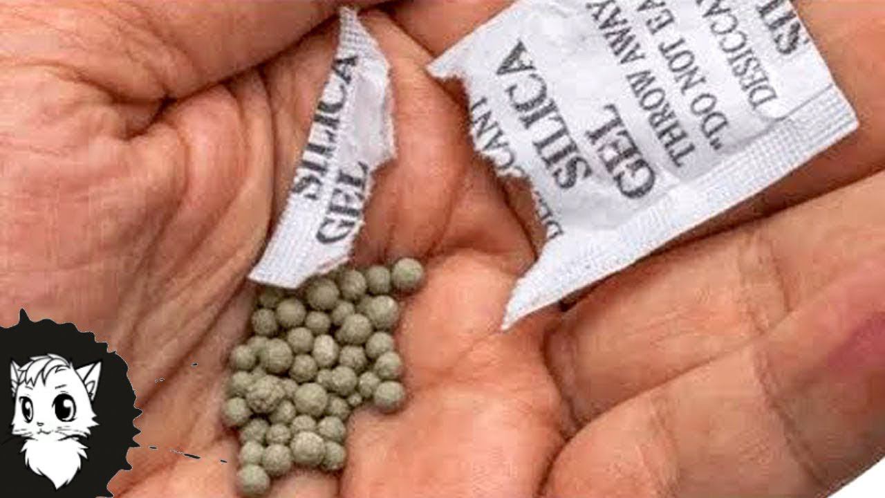 НЕ ВЫБРАСЫВАЙТЕ ЭТИ ПАКЕТИКИ И ВОТ ПОЧЕМУ [Белый кот] смотреть онлайн