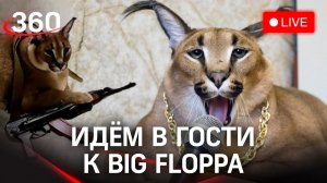 В гостях у Большого Шлепы. Нашумевший герой интернет-мемов отвечает на вопросы зрителей онлайн