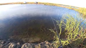 Рыбалка на ротана. Осень. Холодно. Ветер. Ротан ловится.