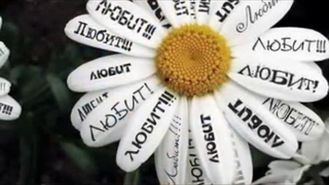 Р О М А Ш К А смотреть онлайн