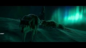 Бэк против Важака стаи/Зов Предков /2020/