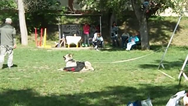 Былина из Таманской Дачи - охрана вещи смотреть онлайн