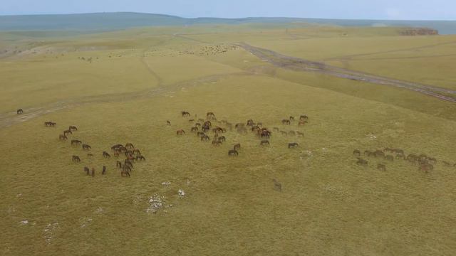 4K Drones fly in the Caucasus mountains