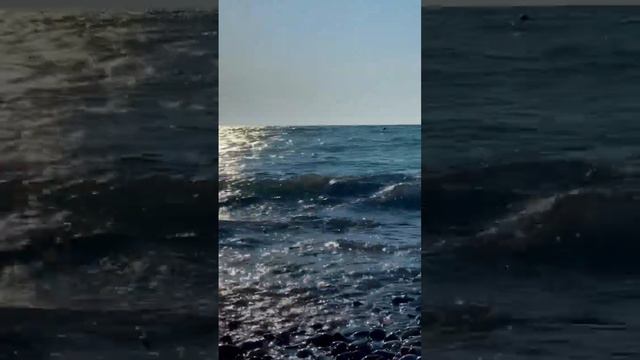 В Сочи вода прогрелась! Сезон начался! #сочисегодня #shortvideo #пляж #моресочи #черноеморе