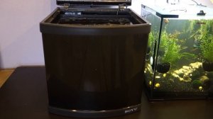 Установка аквариума дома