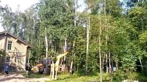 Экскаватор валит дерево