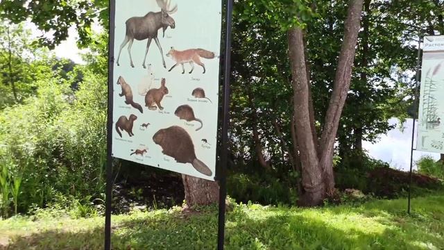 VLOG: Раифский монастырь // полный обзор // достопримечательности Татарстана смотреть онлайн