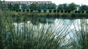 ОДИН ДЕНЬ ИЗ ЖИЗНИ ПЭЙТОНА | ПЭЙТОН ВЛОГ ПЕРЕВОД НА РУССКИЙ?? | УДАЛЁННОЕ ВИДЕО